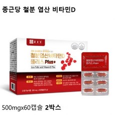 종근당 철분 엽산 비타민D 임산부철분제 수유기여성철분 출산산모선물 임신준비영양제, 90캡슐