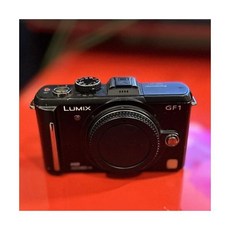 파나소닉 LUMIX GF1 디지털카메라 - 블랙 (본체만)