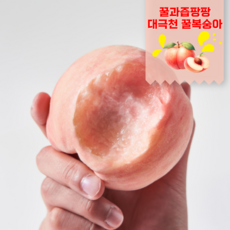 납작복숭아 TOP01
