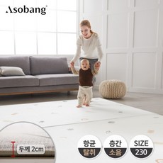 아소방230