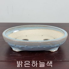 동막골분재