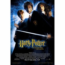 영화포스터(One sheet) 60X88cm -해리 포터 2편 Harry Potter And The Chamber Of Secrets, 브라운