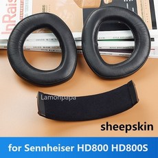hd800s