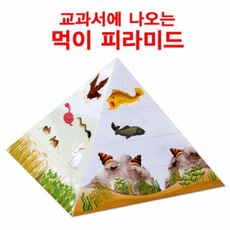 먹이피라미드