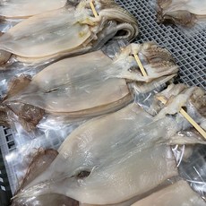 포항 구룡포 반건조 오징어 소 중 대 특대 10마리, 반건조오징어10미(700g-800g), 1개, 반건조오징어10미(700g-800g)