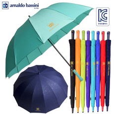 아놀드바시니우산