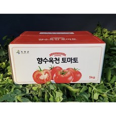 (햇토마토 판매)친환경토마토 무농약 토마토 2kg 5kg 3~4호(중소과 소비자선호) 고당도 완숙토마토 2kg 5kg 1박스 찬이네토마토 수확당일배송 선호하는 3~4호 중소과, 5kg 1박스(3~4호)