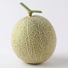 꿀메론