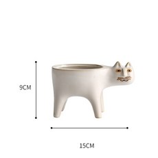 원숭이꼬리선인장