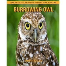 Burrowing Owl: Amazing Photos and Fun Facts about Burrowing Owl Paperback, Independently Published