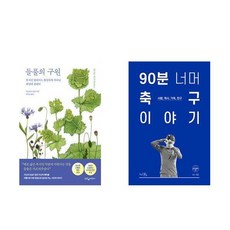 하나북스퀘어 들풀의 구원+90분 너머 축구 이야기