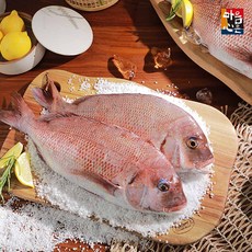 [신세계TV쇼핑][국내산]청정해 여수 손질참돔 2.5kg(500g이상 x 5미), 단일상품, 단일상품