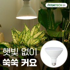 히포팜텍 식물생장등 LED 파38 확산형 램프 식물등 15W 식집사 필수템, 1개