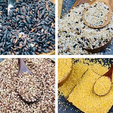 홍성농부가직접농사짓고