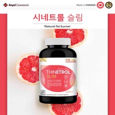 시네트롤더바디슬림