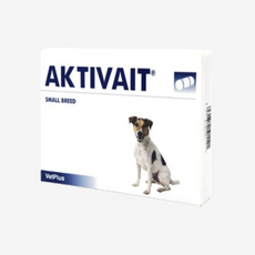 액티베이트소형견