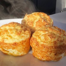 강아지테린