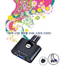 cs22u2포트usbvga