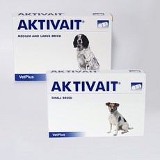 액티베이트소형견