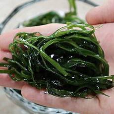 백다시마
