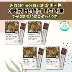 내장지방분해차