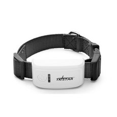 고양이추적카메라