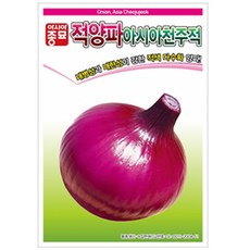 2f96a66eadaa728fe37077dc529e9004b331d53da1242c16144caf933ea7.jpg