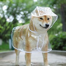 별빛 강아지 투명 우비 레인코트 비옷, 화이트