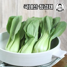 당일작업 국내산 청경채, 4kg, 1개