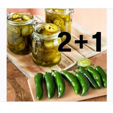 [품절임박] 2+1 부잣집 나쵸 슬라이스 할라피뇨 페퍼스, 3개, 3kg