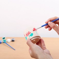 간플렉스 엄지 10 개 99 많다 분소 태우기 DIY 가수회 거친 녹색 식물 고기를 분당이다, 견우 알프스프라자축하화환 화분 6개