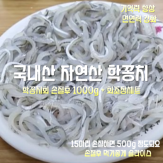 [산지직송] 국내산 자연산 통영 학꽁치회 30마리 손질후 1000g + 회초장세트, 1세트