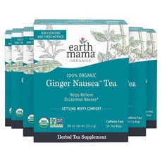 어스마마 진저 입덧 티 16티백 6팩 Earth Mama Ginger Nausea Tea