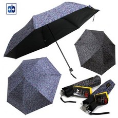 아놀드바시니우산