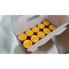 얼려있는야쿠르트