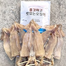 마른오징어 TOP01