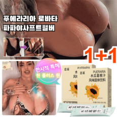1+1 칡뿌리 야 프루트 파우더 말린모과가루, (10pcs/박스)*2박스, 2개