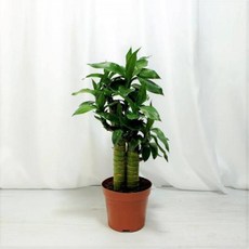 bcb791f33303eae41ae6a23c8a282b2474c242e05d45b8ce38f893f639dd.jpg