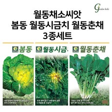 가든홀릭 월동채소씨앗 3종세트 봄동 시금치 춘채 노지월동씨앗, 1세트