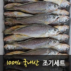 파굴비