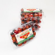 스테비아 대추 방울 토마토 애플마토 2kg, 단품