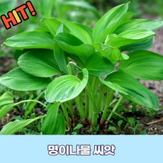 871ec60dfc6e3441fa4912accbb75cb08f96cd371231ae508ef0213bd4cb.jpeg