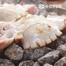 수협 [수협]자연산 촉촉오징어 160g(1팩/2미)12팩 총24미, 1세트