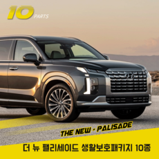 더뉴팰리세이드보호필름