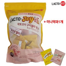 락토조이 구미젤리 믹스 1개당 25g (12개 24개 48개 옵션) 유산균 젤리+미니약과1개서비스, 24개입1봉