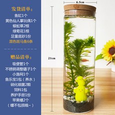 Mar.23 3번 생태병 미세경관 수조경두어항 사무용 탁상용 거실 유리어항어새우류 교환수 면제Z, 원주 - 노 란 선인장 (높이 20cm)