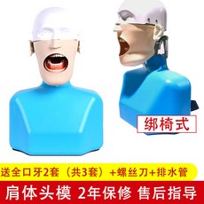 구강 라이크 첫 번째 레진 이알 갖추다 스탠다드 시험 전용 헤어지다 체이 열다 골수 치아, 결박함 의자 양식 어깨 몸이었다 첫