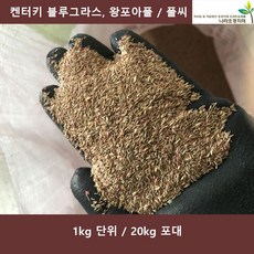 켄터키블루그라스 1kg 20kg 왕포아풀 양잔디풀씨 풀씨 법면녹화, 20개