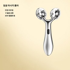 이우미 얼굴 마사지기 롤링마사지 다용도 핸디 LMW163, Type-B, one size