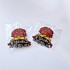 인마이카트 색다른 제작 카네이션 브로치...